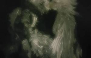 スフマートバージョン(写実お伽噺空想話新主義) - 真鍋哲地