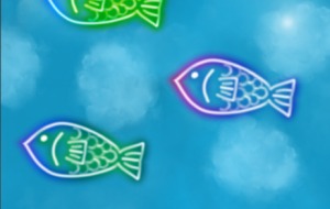 夜空のおさかな - しずく