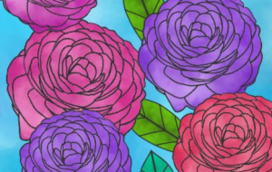 きれいなバラの花 - しずく