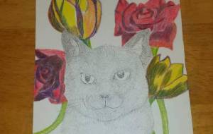 モノクロ猫と花たち - 繭 