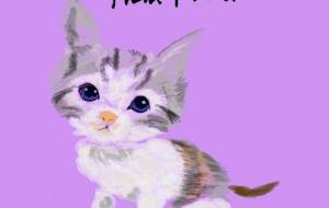 にゃんこちゃん - nao.k