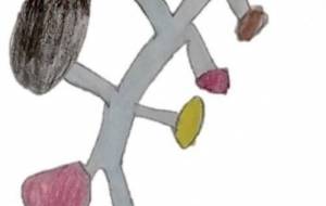 ラッシュ - セイヤセイヤ