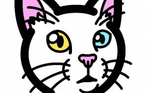 白猫 - シマハイエナ