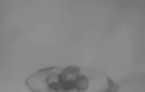 激安肉団子、ありがとう、弟と食べた、アート貧困思障害者主義 - 真鍋哲地