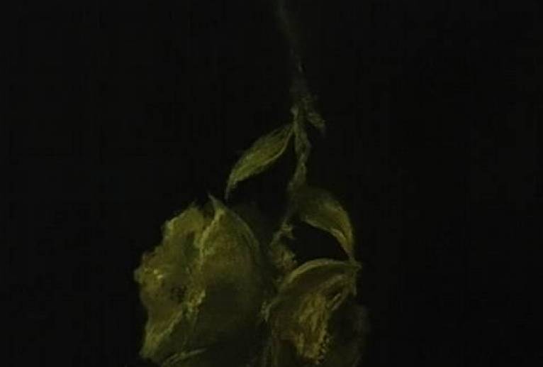 アートの輪に入ってもうすぐ1年？ - 真鍋哲地 