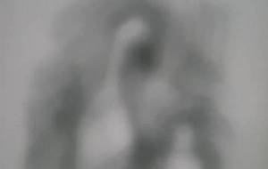 鳥の親子、母さんーーーっ - 真鍋哲地