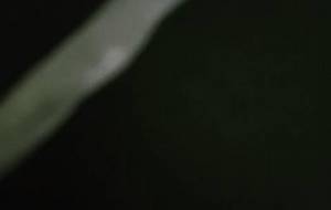 線、思い - 真鍋哲地