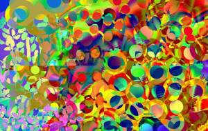 Beautiful1 - 菅原たんぽぽ