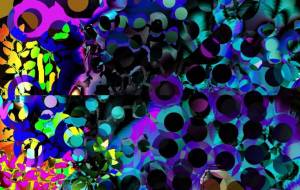 Beautiful2 - 菅原たんぽぽ