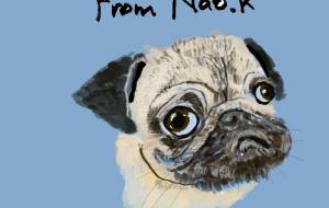 パグちゃん - nao.k