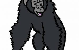 チンパンジー - シマハイエナ 
