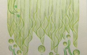 白ワインのベール - 絵言葉