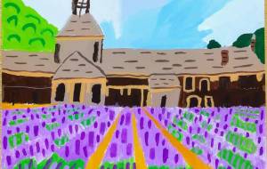 ラベンダー畑 - わかな