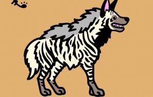 シマハイエナ - シマハイエナ