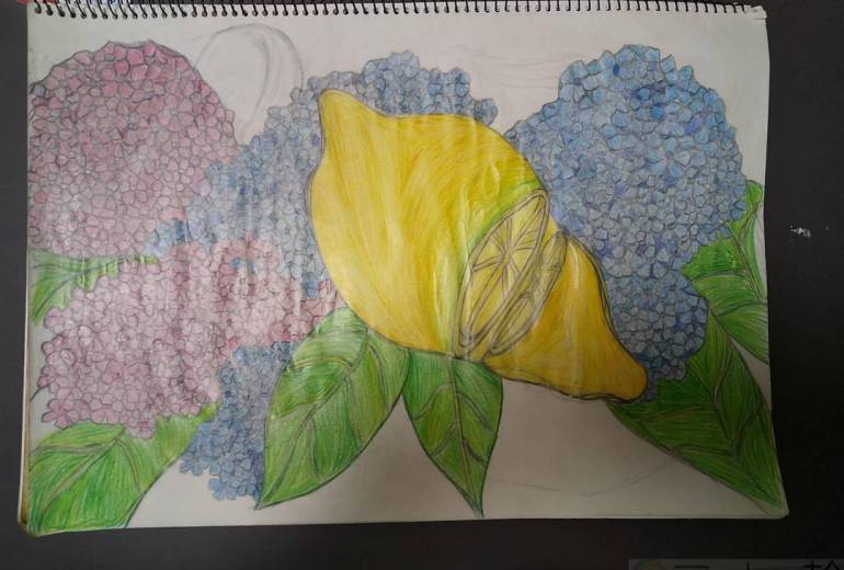 紫陽花と檸檬