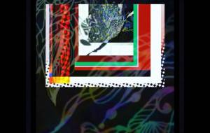 パスポート - しょも