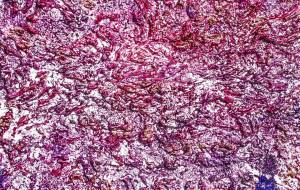 うみにゆうひ - 久保田 俊