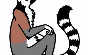 ワオキツネザル - シマハイエナ