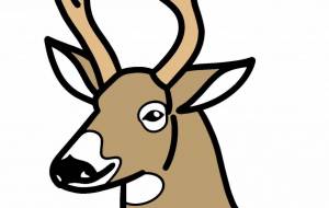 オジロジカ - シマハイエナ