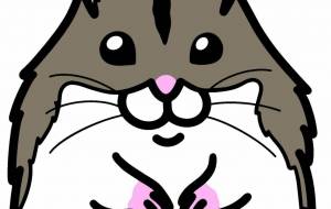 ジャンガリアンハムスター - シマハイエナ