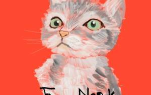 ギョッとした猫ちゃん - nao.k