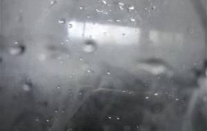 ペットボトル無空想 - 真鍋哲地