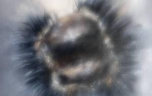 アクリルすふまぁと日本画的写実作品(栗) - 真鍋哲地