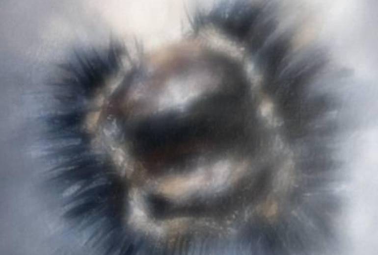 アクリルすふまぁと日本画的写実作品（栗）