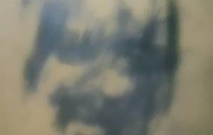 母さんお別れですか?何故居なくなった、憎い認知症が - 真鍋哲地