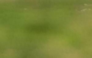 俺の最期の場所であってほしい命懸けで生きたぬぬなちめ - 真鍋哲地