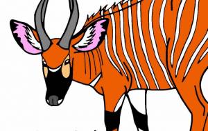 ケニアボンゴ - シマハイエナ