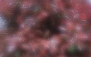 俺、写真、絵画、情熱真っ赤に - 真鍋哲地