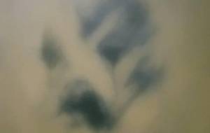 現命家族 - 真鍋哲地