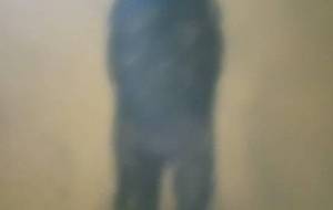 僕、、母さん - 真鍋哲地