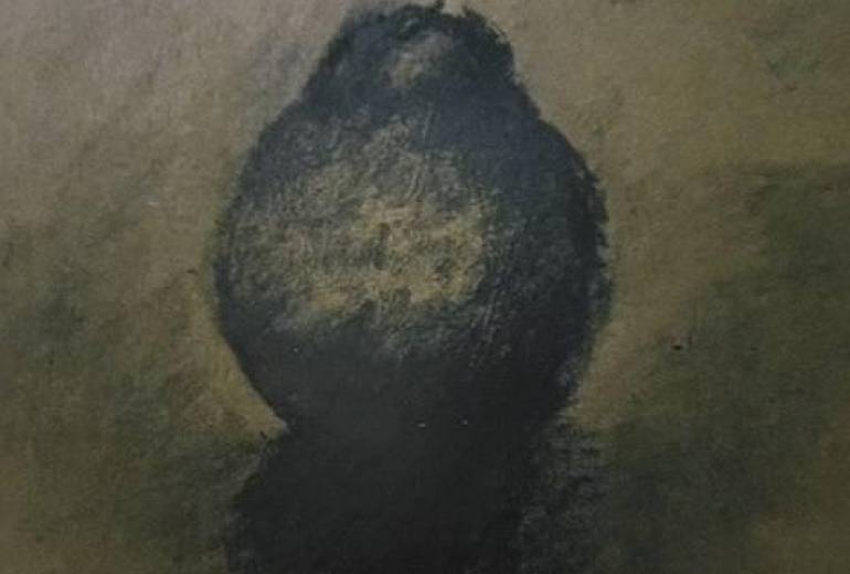 恩人、貴方がくれたデコポン