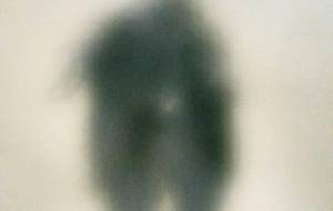 小人症、でも貴方は、大切な我が子 - 真鍋哲地