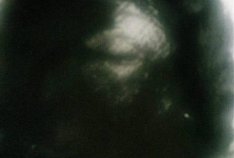 生きる事 - 真鍋哲地 