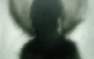 仏様、妄想なんかじゃない - 真鍋哲地