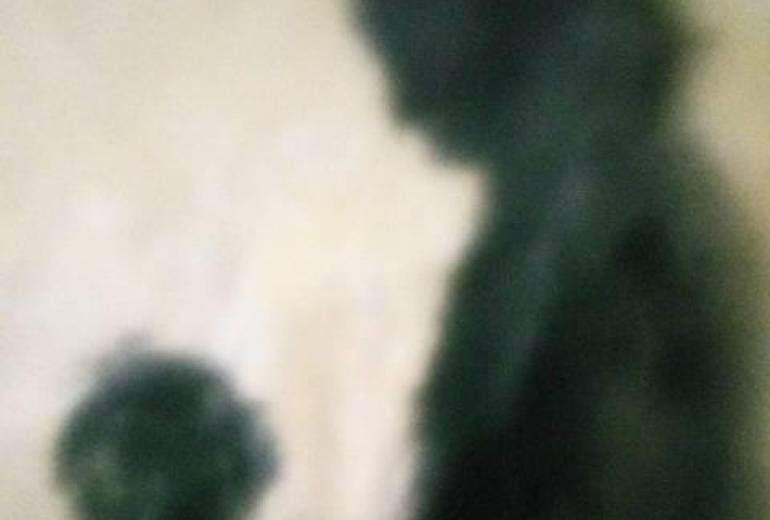 母さん、孫との楽しい時間