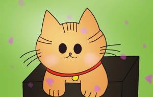 届いたおもちゃより、段ボールに夢中。 - Junna