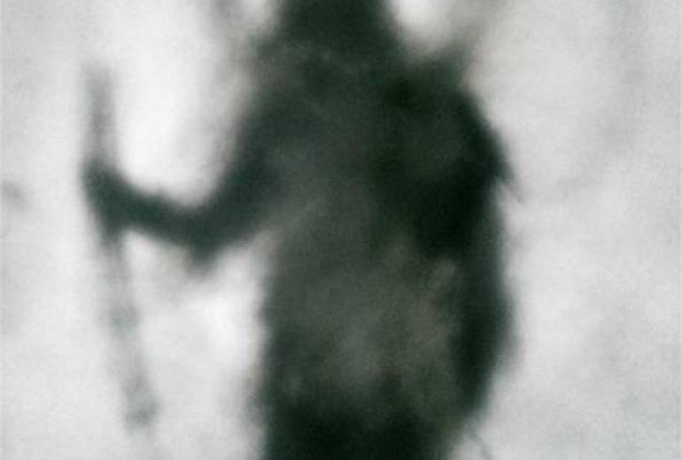 イエス様、貴方は花の命を守るために（平和）