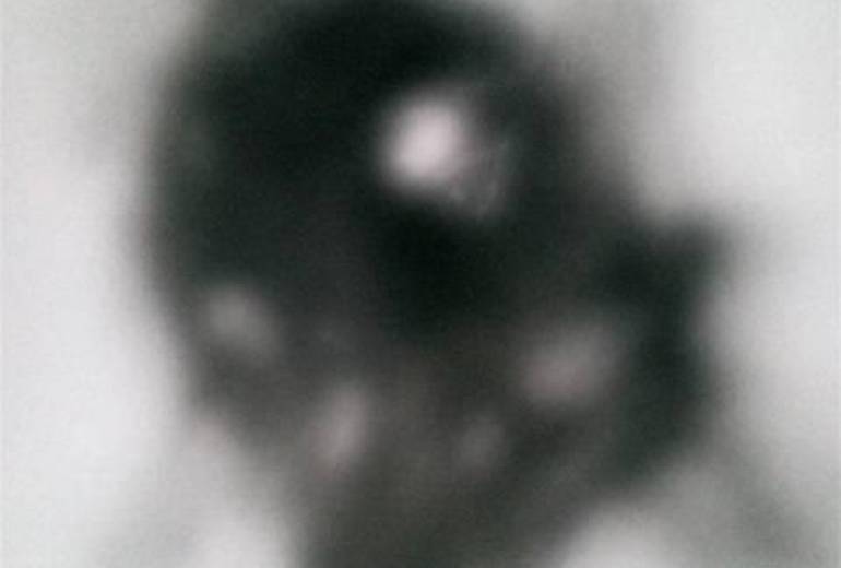 ライオンに我が子を、母シマウマ（涙）