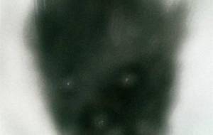 我アクリル水墨十二神将主義 - 真鍋哲地