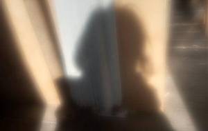 僕、母さん、弟(僕の世界) - 真鍋哲地