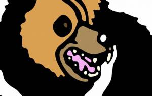 エゾヒグマ - シマハイエナ