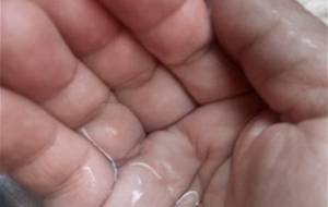 心が痛い、心が死んでゆくような、悲しみがこぼれる - 真鍋哲地