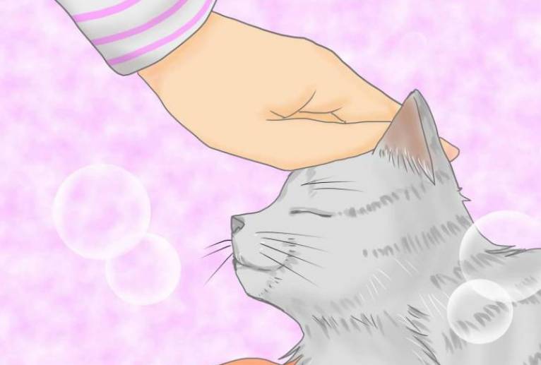 さよなら愛しの君。 - 羽津美由紀 