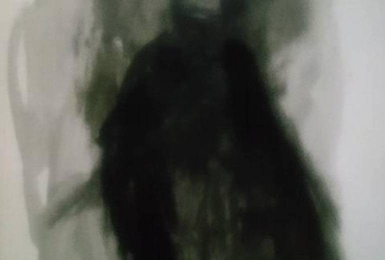 鴉妖怪一目入道（嘆き大声で嘆き絶叫）