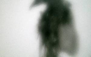 一目妖怪入道(天使鴉) - 真鍋哲地