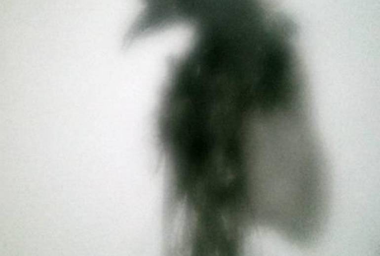 一目妖怪入道（天使鴉）